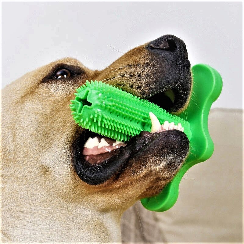 Dog Brushing Stick