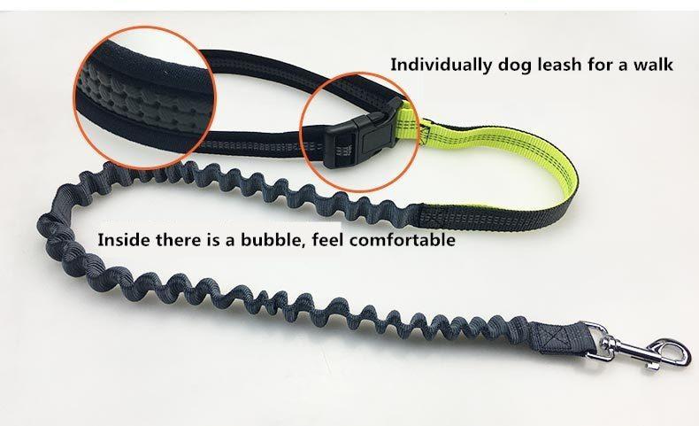 Hands Free Bungee Dog Leash