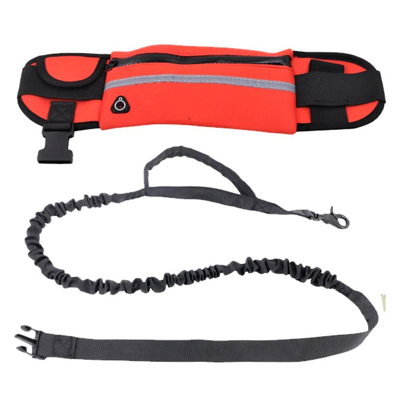 Hands Free Bungee Dog Leash